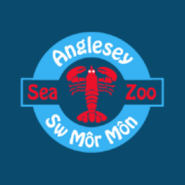 Angelsey Sea Zoo
