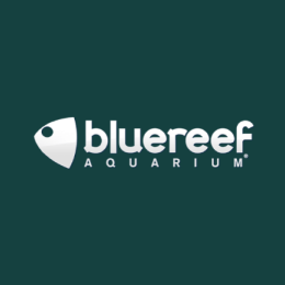 Bluereef aquarium