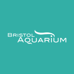 Bristol Aquarium